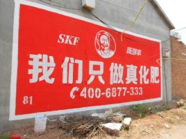 定南刷墙广告”蕴含了时代命题