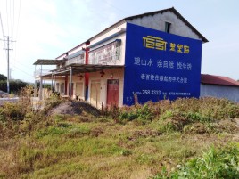定南必须知道的墙体广告形势