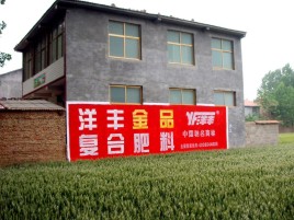 定南如何让墙体广告展现最大化效果