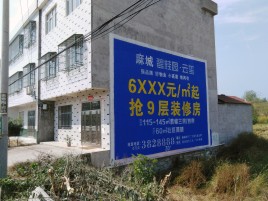 定南墙体广告质量分析