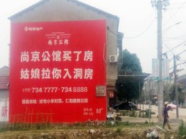定南墙体广告在乡镇、农村市场的媒体优势