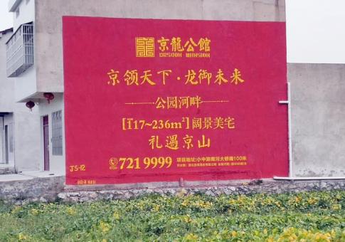 定南墙体广告发布的关键问题