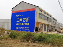 定南农村墙体广告在不同形式上面展现的不同特色