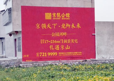 定南为什么家喻户晓，销量火爆的品牌，还在做墙体广告呢？