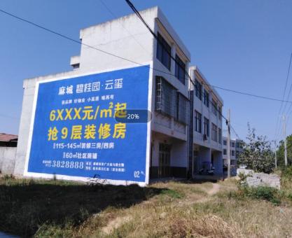 如何策划定南墙体广告的投放？