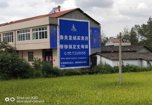 定南决定墙体广告价格的因素有哪些?