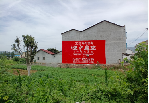 定南做墙体广告的意义