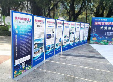 定南KT板的种类和知识。